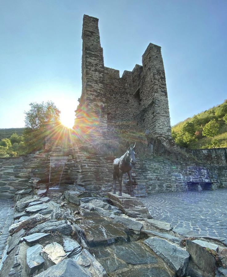 Roosartige Ferien - Ferienwohnung Am Weiherturm Bacharach Exterior foto