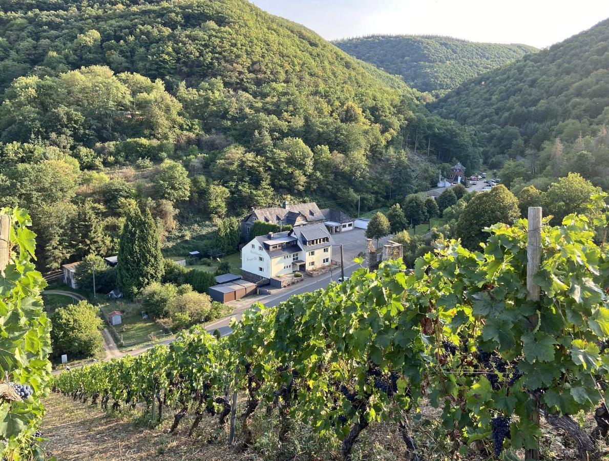 Roosartige Ferien - Ferienwohnung Am Weiherturm Bacharach Exterior foto