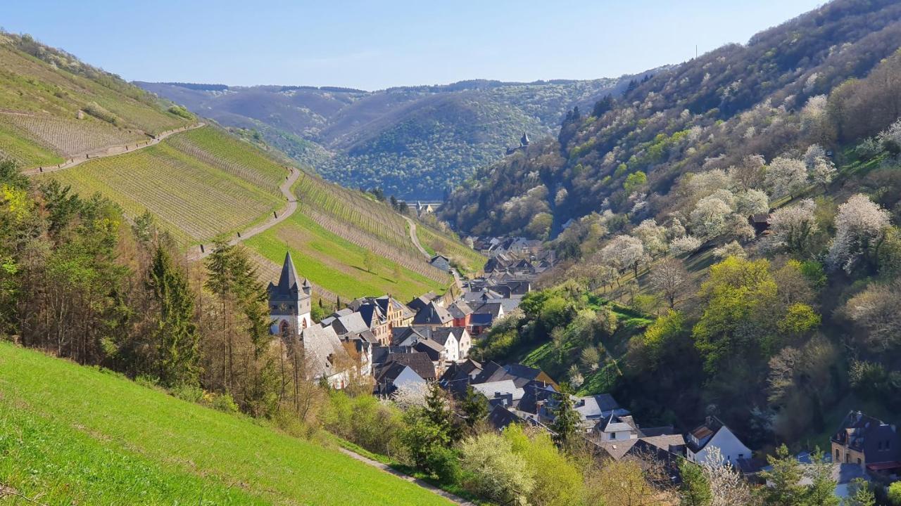 Roosartige Ferien - Ferienwohnung Am Weiherturm Bacharach Exterior foto