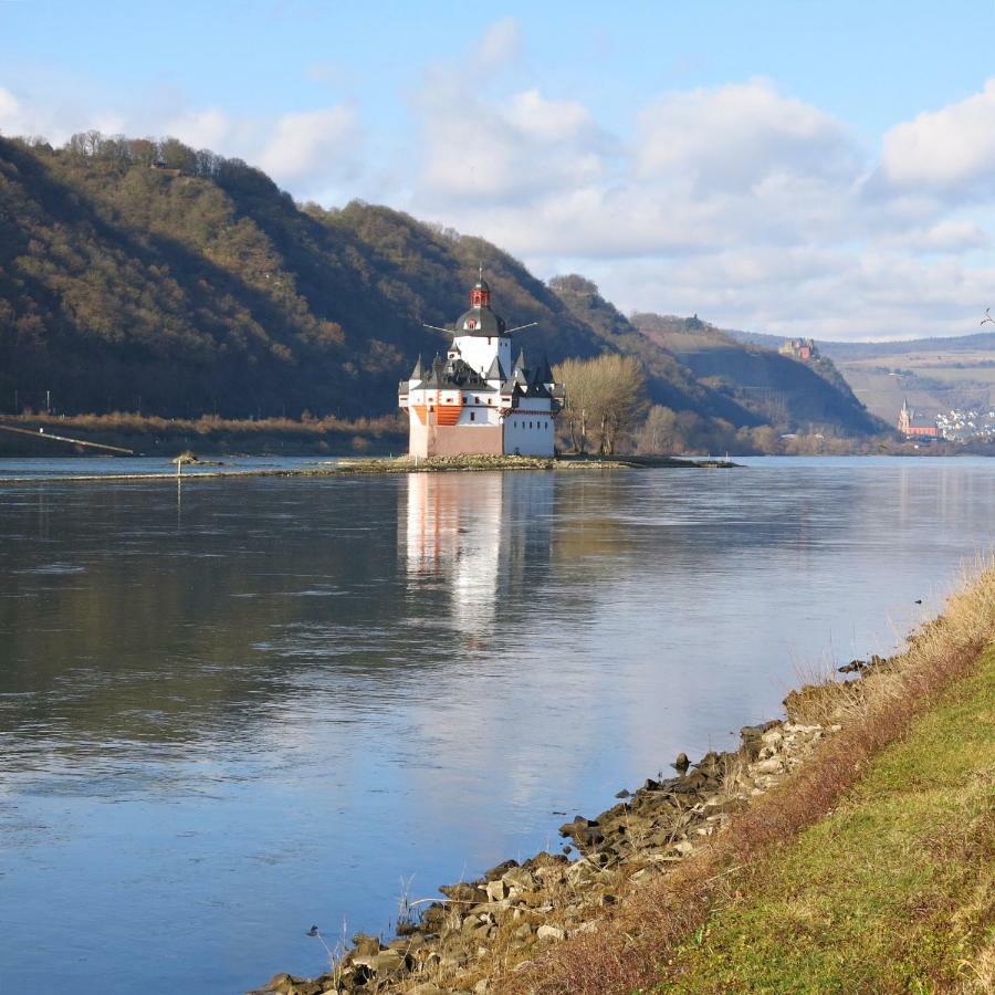 Roosartige Ferien - Ferienwohnung Am Weiherturm Bacharach Exterior foto